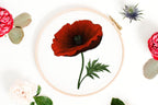 Poppy Hand Embroidery Pattern: Floral Design (PDF Instant Download)