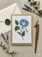 Morning Glory Cross Stitch Pattern PDF, September Birth Flower Small Floral Chart