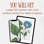 Morning Glory Cross Stitch Pattern PDF, September Birth Flower Small Floral Chart