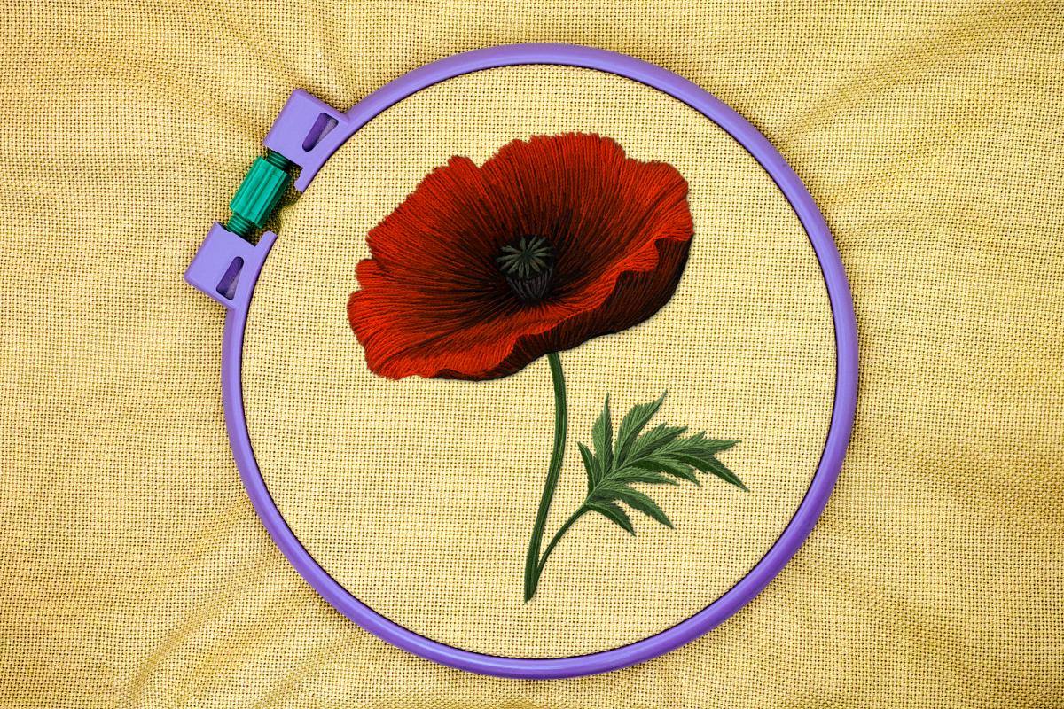 Poppy Hand Embroidery Pattern: Floral Design (PDF Instant Download)